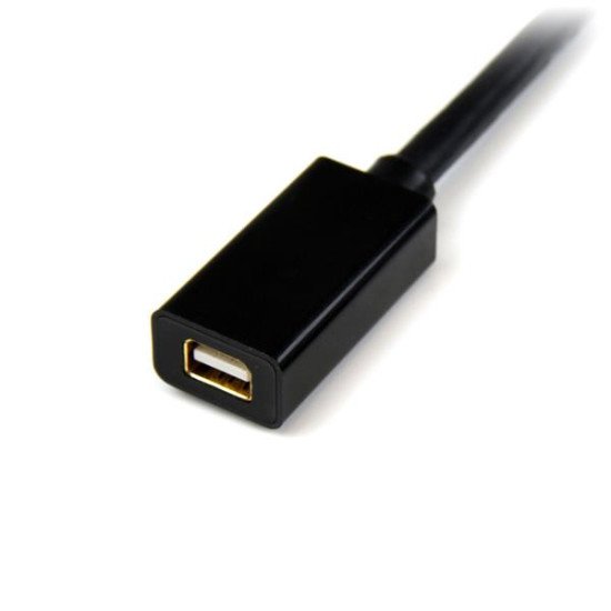 StarTech.com Câble d'extension vidéo Mini DisplayPort de 1,8 m - Rallonge Mini DP vers Mini DP - M/F - 4K