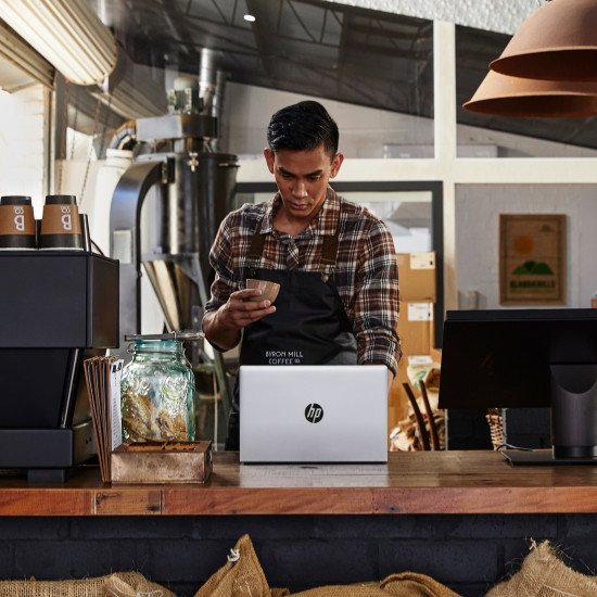 HP ProBook 445 G9 AMD Ryzen™ 5 5625U Ordinateur portable 35,6 cm (14") Full HD 8 Go DDR4-SDRAM 256 Go SSD Wi-Fi 6 (802.11ax) Windows 11 Pro Argent