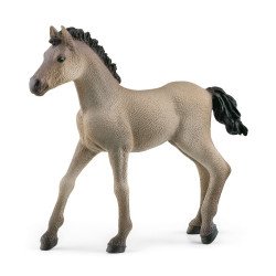 schleich HORSE CLUB Poulain Criollo Definitivo schleich HORSE CLUB Poulain Criollo Definitivo