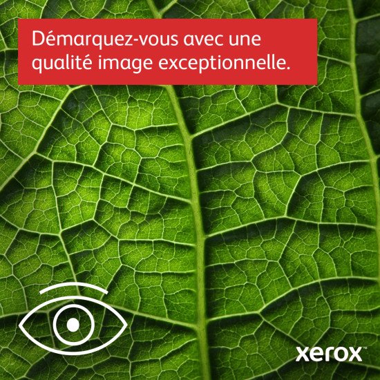 Xerox B315 copie/impression/numérisation/télécopie recto verso sans fil A4, 40 ppm, PS3 PCL5e/6, 2 magasins, 350 feuilles