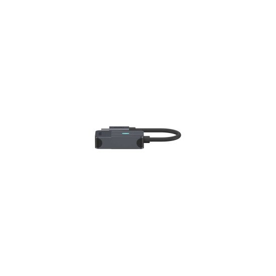 Rapoo UCA-1005 0,15 m USB Type-C DisplayPort Noir