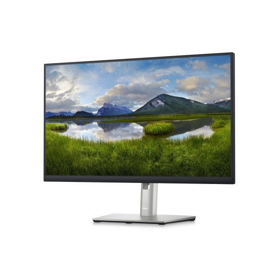 DELL P Series P2423DE 60,5 cm (23.8") 2560 x 1440 pixels Quad HD LCD Noir, Argent