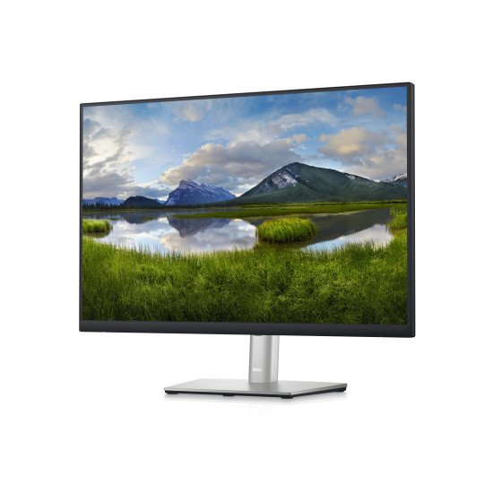 DELL P Series P2423 écran PC 24" 1920 x 1200 pixels WUXGA LCD Noir, Argent