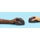 Logitech Lift souris Gauche RF sans fil + Bluetooth Optique 4000 DPI Logitech Lift souris Gauche RF sans fil + Bluetooth Optique 4000 DPI