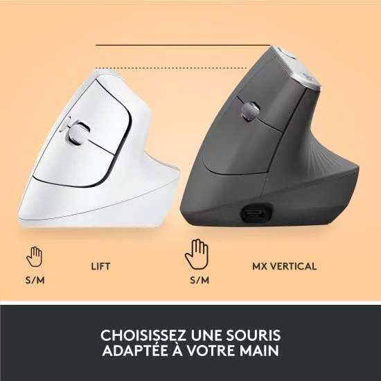 Logitech Lift souris Droitier RF sans fil + Bluetooth Optique 4000 DPI Logitech Lift souris Droitier RF sans fil + Bluetooth Optique 4000 DPI