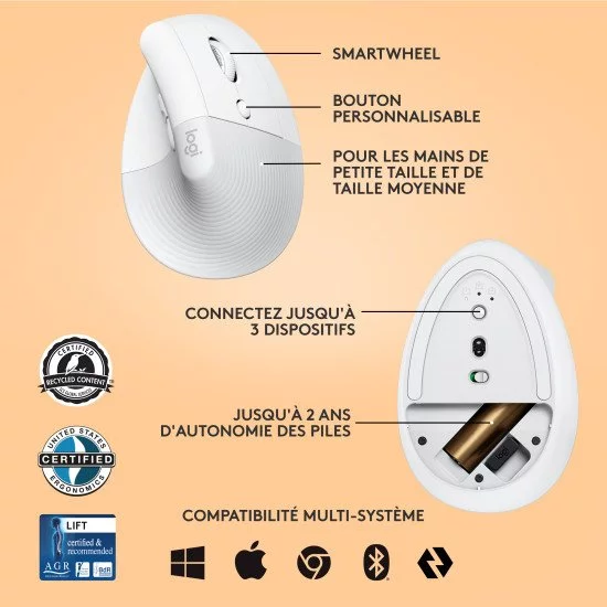 Logitech Lift souris Droitier RF sans fil + Bluetooth Optique 4000 DPI Logitech Lift souris Droitier RF sans fil + Bluetooth Optique 4000 DPI