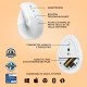 Logitech Lift souris Droitier RF sans fil + Bluetooth Optique 4000 DPI Logitech Lift souris Droitier RF sans fil + Bluetooth Optique 4000 DPI