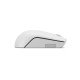 Lenovo 300 WIRELESS MOUSE'GREY souris Ambidextre RF sans fil Optique 1000 DPI