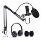 Easypix 62021 microphone Noir Microphone de studio Easypix 62021 microphone Noir Microphone de studio