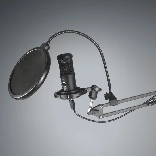 Easypix 62021 microphone Noir Microphone de studio Easypix 62021 microphone Noir Microphone de studio