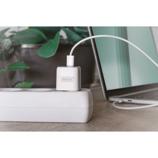 Digitus Adaptateur de charge Mini USB-C™, 20 W