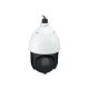 LevelOne FCS-4051 caméra de sécurité Dôme Caméra de sécurité IP Intérieure et extérieure 1920 x 1080 pixels Plafond LevelOne FCS-4051 caméra de sécurité Dôme Caméra de sécurité IP Intérieure et extérieure 1920 x 1080 pixels Plafond