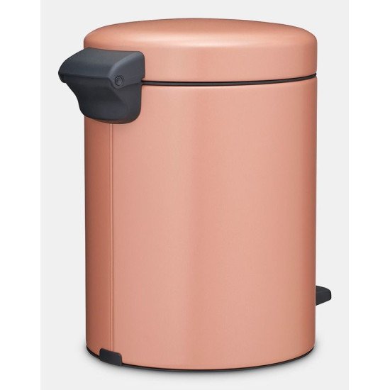 Brabantia NewIcon 5 L Rond Acier Or