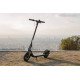 Ninebot by Segway KickScooter F2 D 20 km/h Noir, Gris 10,2 Ah