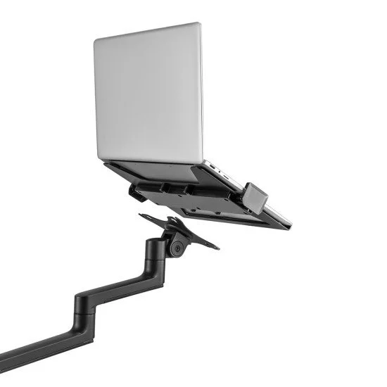 Neomounts by Newstar support de bureau pour moniteur et notebook Neomounts by Newstar support de bureau pour moniteur et notebook