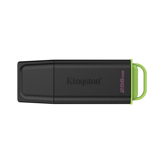 Kingston Technology DataTraveler 256Go Stockage portable USB 3.2 Gen 1 Exodia Noir + Vert