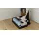 Kärcher FCV 4 Dry Pet & Home Aspirateur balai 3-en-1 Batterie Sec&humide Sans sac Noir