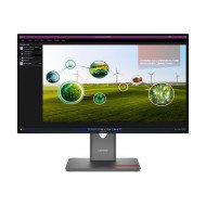 Lenovo ThinkVision P27Q-40 LED display 68,6 cm (27") 2560 x 1440 pixels Quad HD Noir