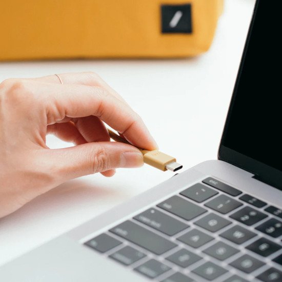 Native Union Anchor câble USB 1,8 m USB C Noir, Blanc