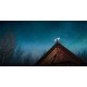 Starlink Standard Kit V4 Lite antenne Réseau électronique en phase