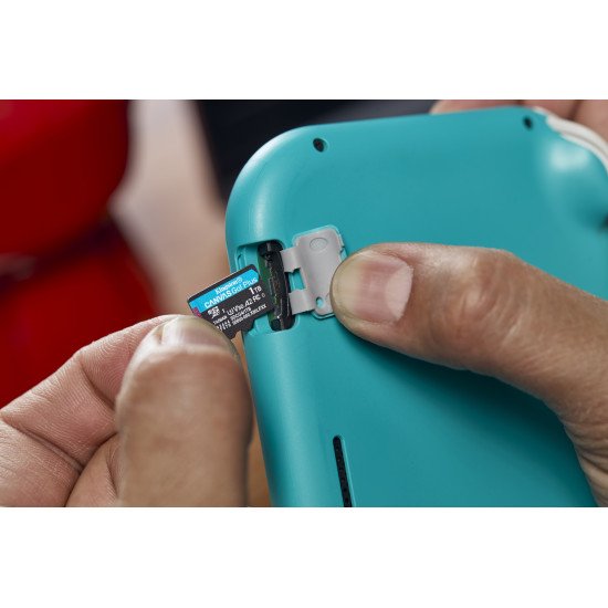 Kingston Technology Carte microSDXC Canvas Go Plus Gen4 200 Mo/s A2 U3 V30 1 To + adaptateur