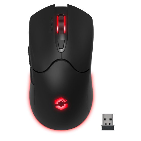 SPEEDLINK SL-680102-BK souris Gaming USB Type-A 4800 DPI