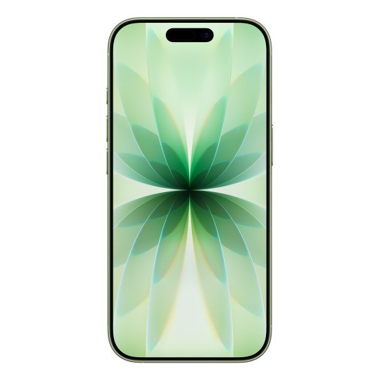 Apple iPhone 17 16 cm (6.3") Double SIM iOS 26 5G USB Type-C 256 Go Sage Apple iPhone 17 16 cm (6.3") Double SIM iOS 26 5G USB Type-C 256 Go Sage