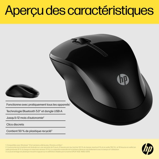 HP Souris double 250