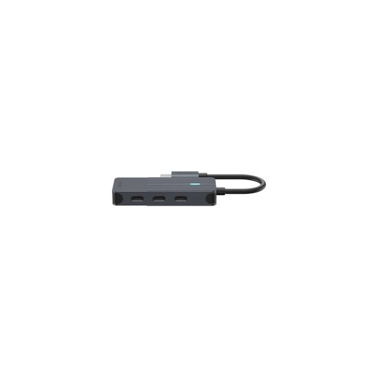 Rapoo UCH-4002 carte et adaptateur d'interfaces USB Type-C
