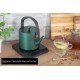 Unold 18217 BLITZKOCHER Jade bouilloire 0,6 L 800 W Vert Unold 18217 BLITZKOCHER Jade bouilloire 0,6 L 800 W Vert