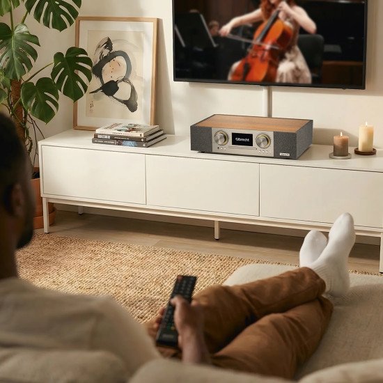 Albrecht DR 1000 Analogique et numérique 30 W FM, DAB+ Noyer Lecture de MP3
