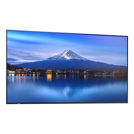 Sharp MultiSync P656 En forme de kiosk 163,8 cm (64.5") LCD 700 cd/m² 4K Ultra HD Noir Intégré dans le processeur