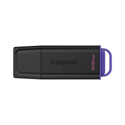 Kingston Technology DataTraveler 512Go Stockage portable USB 3.2 Gen 1 Exodia Noir + Violet