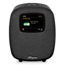 Sangean DCR-83 Personnel Analogique et numérique Noir