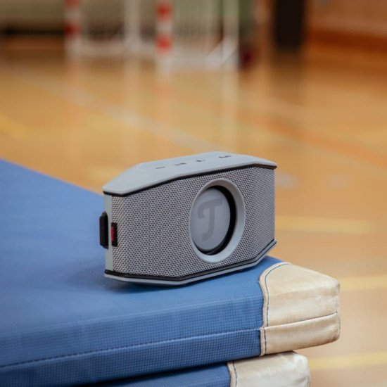 Teufel ROCKSTER GO Enceinte portable mono Gris