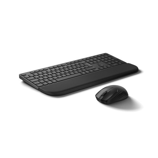 HP MultiDvcDuMdMSEKBCombowPR585C BE clavier Souris incluse Noir