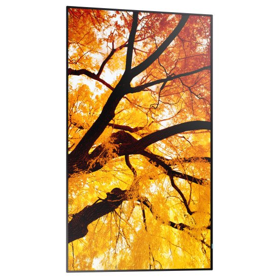 Sharp MultiSync M552 Écran plat de signalisation numérique 139,7 cm (55") LCD 550 cd/m² 4K Ultra HD Noir Écran tactile