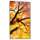 Sharp MultiSync M552 Écran plat de signalisation numérique 139,7 cm (55") LCD 550 cd/m² 4K Ultra HD Noir Écran tactile