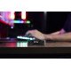 Kingston Technology 1T FURY RENEGADE G5 M.2 2280 NVMe SSD Kingston Technology 1T FURY RENEGADE G5 M.2 2280 NVMe SSD