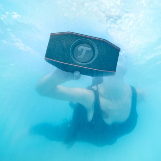 Teufel ROCKSTER GO Enceinte portable mono Gris