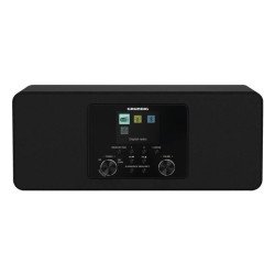 Grundig DTR 4600 2.0 DAB+ Portable Analogique et numérique Noir