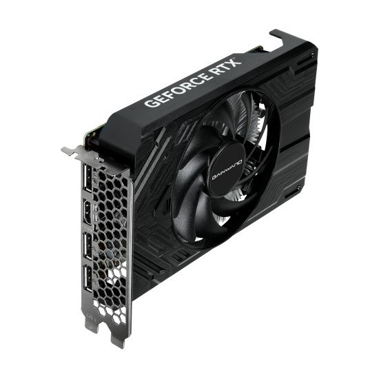 Gainward GeForce RTX 4060 Pegasus NVIDIA 8 Go GDDR6