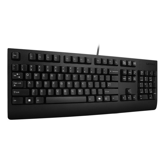 Lenovo Preferred Pro II clavier maison/bureau USB Français, Allemand Noir