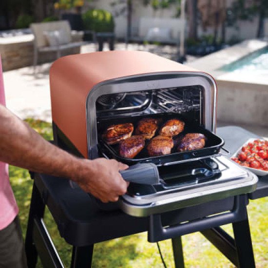 Ninja OO101EU barbecue et grill Électrique + charbon Noir, Rouge, Argent 2400 W