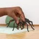 schleich Aragog schleich Aragog