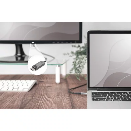 Digitus Câble adaptateur USB type C vers DisplayPort bidirectionnel Digitus Câble adaptateur USB type C vers DisplayPort bidirectionnel