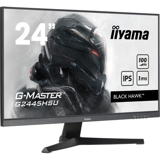 iiyama G-MASTER écran PC 61 cm (24") 1920 x 1080 pixels Full HD LED Noir