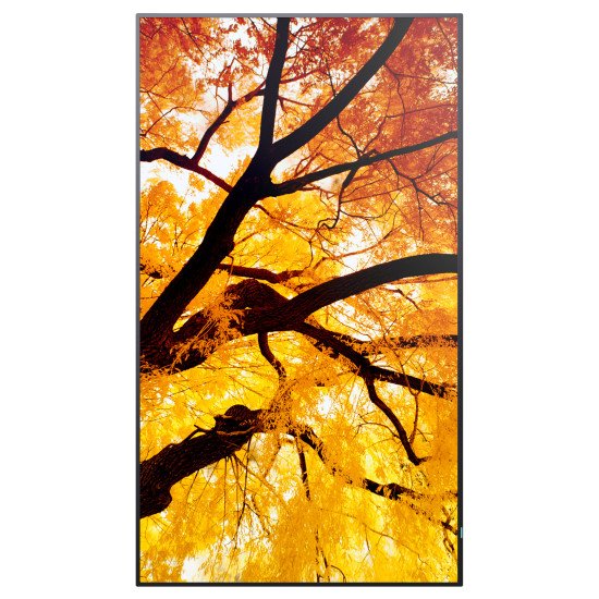 Sharp MultiSync M552 Écran plat de signalisation numérique 139,7 cm (55") LCD 550 cd/m² 4K Ultra HD Noir Écran tactile