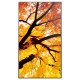 Sharp MultiSync M552 Écran plat de signalisation numérique 139,7 cm (55") LCD 550 cd/m² 4K Ultra HD Noir Écran tactile