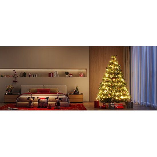 Govee H80C4 Guirlande lumineuse intelligente Wi-Fi/Bluetooth 15 W